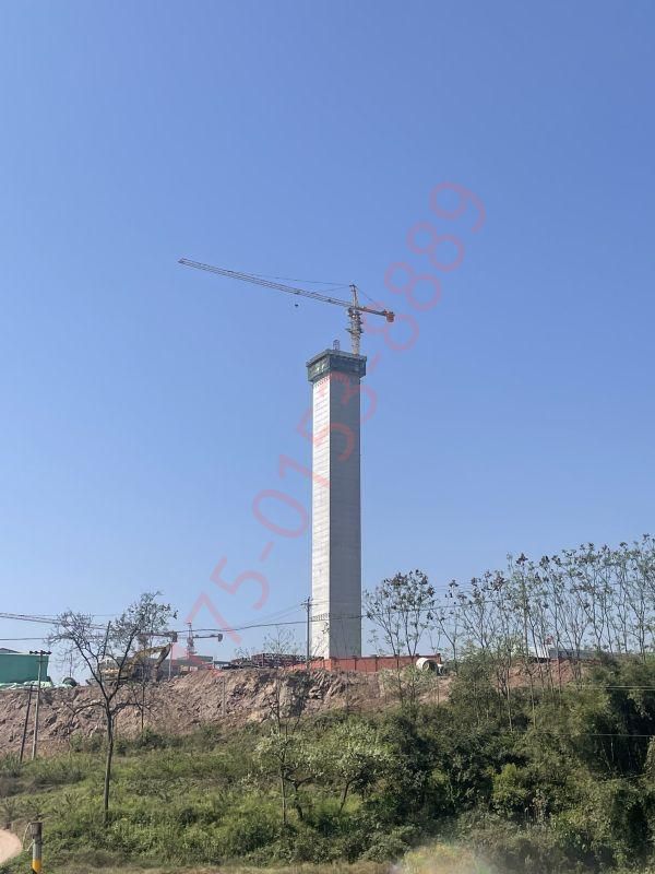 165米砼大烟囱移模新建